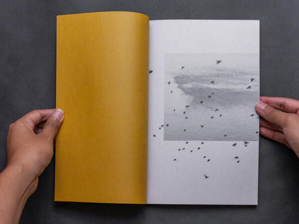 Migrations I
